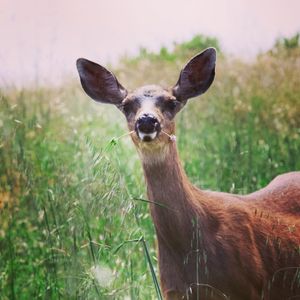 Image post by @ucsc on Instagram
