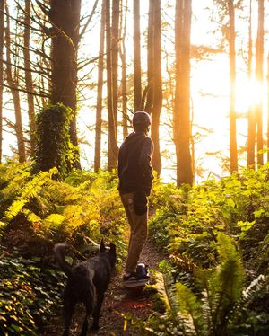 Image post by @onewheel on Instagram