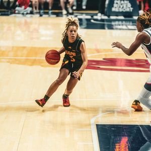 Image post by @uapblionswbb on Instagram