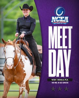 Image post by @tcuequestrian on Instagram