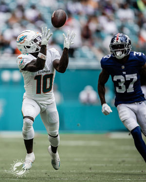 Image post by @dolphins_esp on Instagram