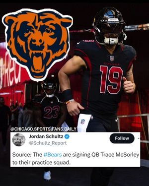 Image post by @chicago.sports.fans.daily on Instagram