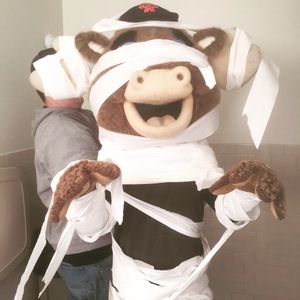Image post by @tacomarainiers on Instagram