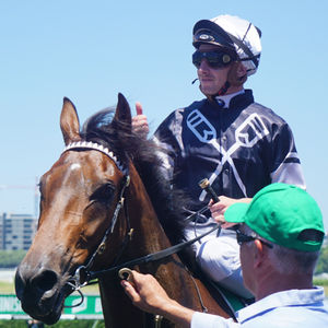 Image post by @australianturfclub on Instagram