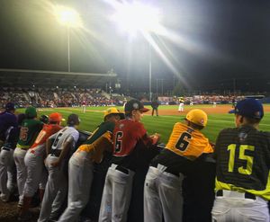 Image post by @littleleague on Instagram