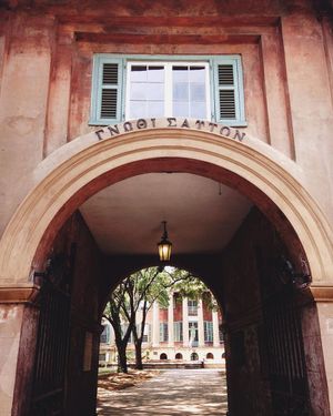 Image post by @collegeofcharleston on Instagram