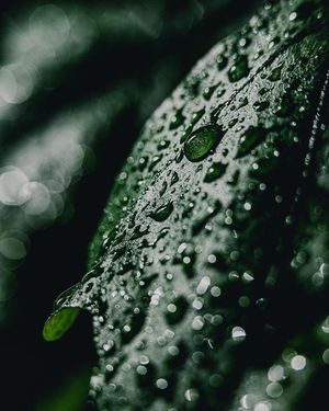 Image post by @fotodioxpro on Instagram