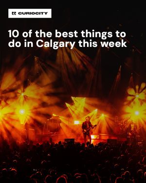 Image post by @curiocitycalgary on Instagram