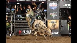 Video post by @pbr on YouTube
