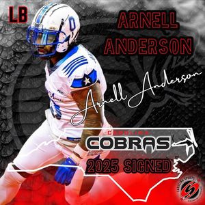 Image post by @carcobras on Instagram