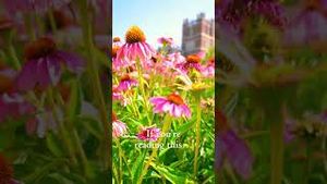 Video post by @marquetteu on YouTube