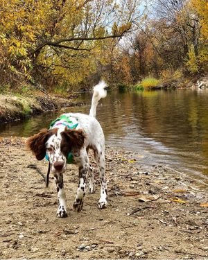 Image post by @boise_bucketlist on Instagram