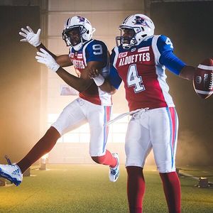 Image post by @mtlalouettes on Instagram