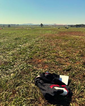 Image post by @talladega on Instagram