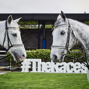 Image post by @australianturfclub on Instagram