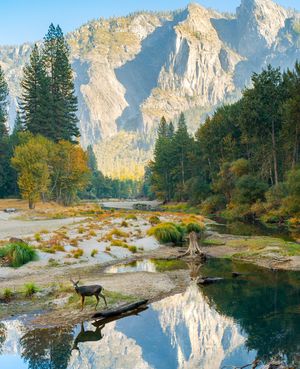 Image post by @oco_photo on Twitter