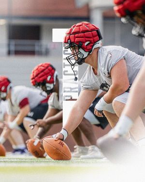 Image post by @bearssports on Instagram