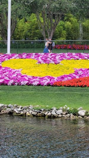 Video post by @thedisneyblog on Instagram