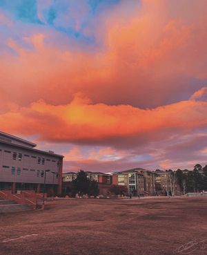 Image post by @nauflagstaff on Instagram