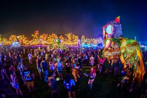 Image post by @nocturnalwland on Instagram