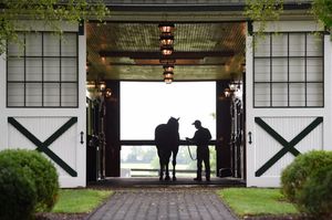Image post by @spendthriftfarm on Instagram
