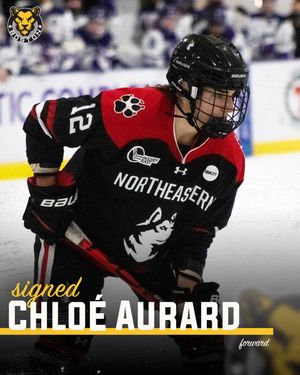 Image post by @TheBostonPride on Twitter