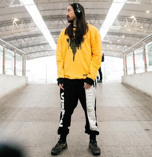 Image post by @steveaoki on Instagram