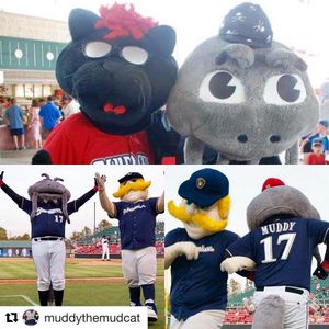 Image post by @carolinamudcats on Instagram