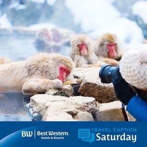 Image post by @bestwestern on Instagram