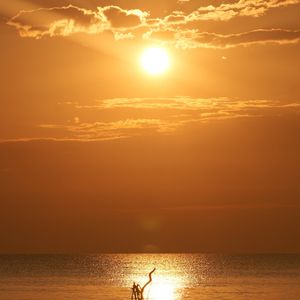 Image post by @uan.photos on Instagram