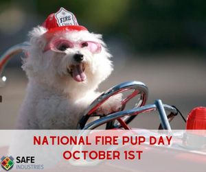 Image post by @safeindustries on Instagram
