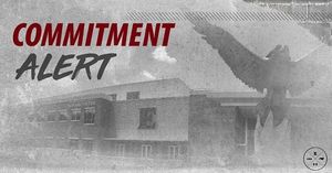 Image post by @elonvb on Instagram