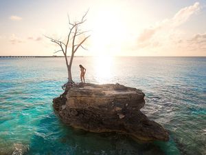 Image post by @hiltonhotels on Instagram