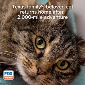 Image post by @foxweather on Instagram