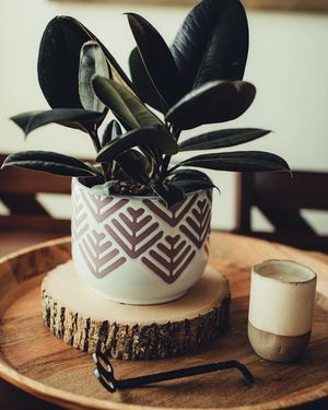 Image post by @ninamarie_creative on Instagram