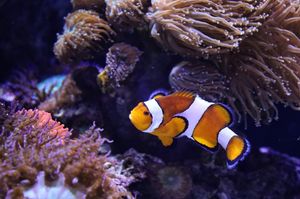 Image post by @eleniwithacamera on Instagram