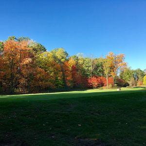 Image post by @msu_wgolf on Instagram