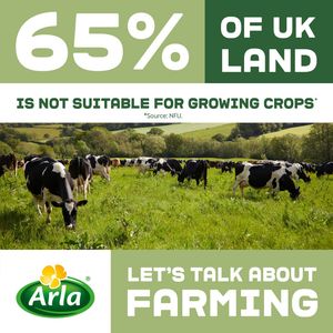 Image post by @arladairyuk on Instagram