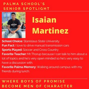 Image post by @palma_school on Instagram
