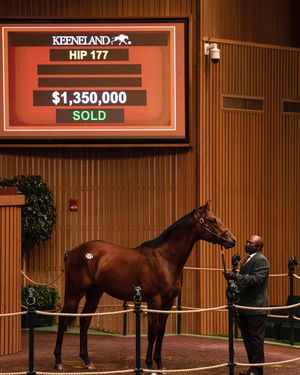 Image post by @spendthriftfarm on Instagram