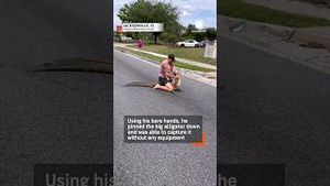 Video post by @accuweather on YouTube