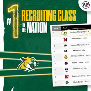 Image post by @everythingcollegehockey on Instagram