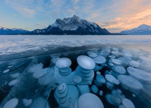 Image post by @ScienceChannel on Twitter