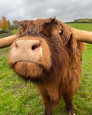 Image post by @visitscotland on Instagram