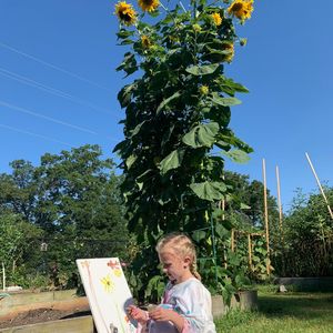 Image post by @kidsgardening on Instagram