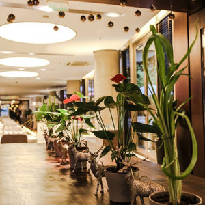 Image post by @hotelmadero on Instagram