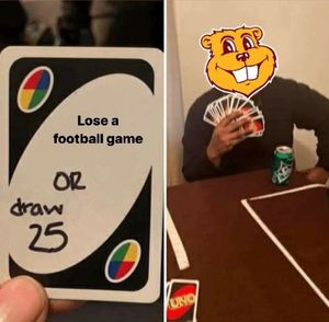 Image post by @barstoolgophers on Instagram