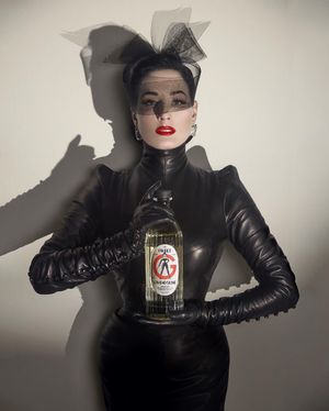 Image post by @ditavonteese on Instagram