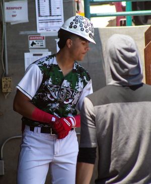 Image post by @Storm_Baseball on Twitter