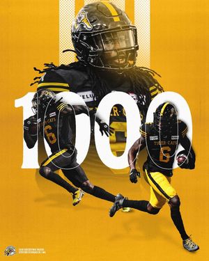 Image post by @hamiltontigercats on Instagram